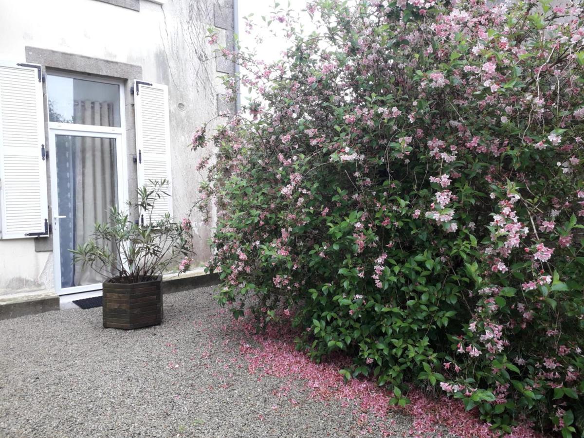 "Cosy Trendy & Chic" - Stayhome Quimper Kültér fotó